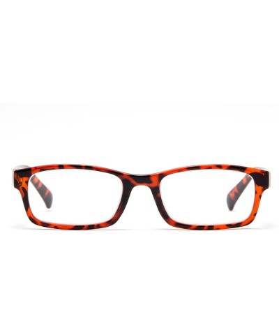 Square Newbee Fashion Squared Reading Glasses - Tortoise - CJ11PTMY7RX $10.14