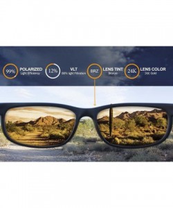 Sport Polarized Replacement Lenses for Dragon Calavera Sunglasses - Multiple Options - 24k Gold - CM188I5DM3D $38.04