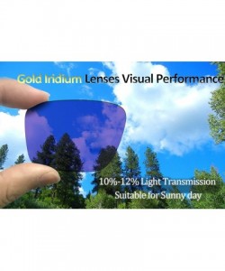 Sport Polarized Replacement Lenses Flak 2.0 XL Sunglasses - C818N0HUWRN $25.80