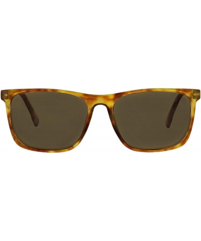 Square Highbrow Square Reading Sunglasses- Honey Tortoise- 56 mm + 2.5 - CH18X5XY8WW $19.24