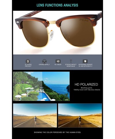 Sport Classic Half Frame Sunglasses Fashion Eyeglasses for Men Women Ladies - Brown Frame/Brown Lens - CK188T03WAL $35.20