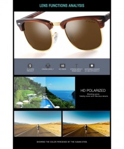 Sport Classic Half Frame Sunglasses Fashion Eyeglasses for Men Women Ladies - Brown Frame/Brown Lens - CK188T03WAL $35.20