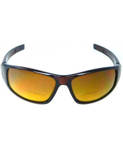Aviator Hammer Polarized Bifocal Sunglasses - Sunglasses and Sun Readers in One - Non-polarized Brown Gold - CP18UZUR25U $96.47