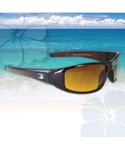 Aviator Hammer Polarized Bifocal Sunglasses - Sunglasses and Sun Readers in One - Non-polarized Brown Gold - CP18UZUR25U $80.03