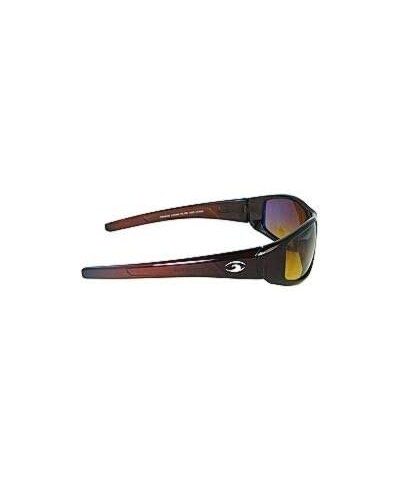 Aviator Hammer Polarized Bifocal Sunglasses - Sunglasses and Sun Readers in One - Non-polarized Brown Gold - CP18UZUR25U $80.03