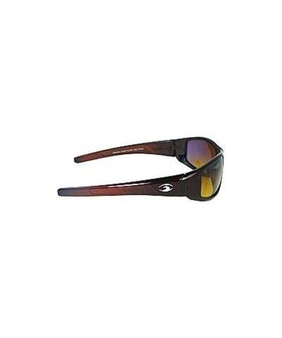 Aviator Hammer Polarized Bifocal Sunglasses - Sunglasses and Sun Readers in One - Non-polarized Brown Gold - CP18UZUR25U $35.08