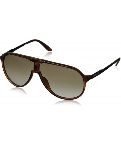 Sport NEW CHAMPION/S Pilot Sunglasses - Havana Black & Brown Gradient - CF11V7P8E5H $63.18
