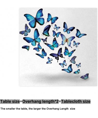 Rectangular Butterflies Lepidoptera Collection Unlikeness - Color10 - CJ197RL46NL $39.66