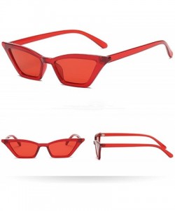 Round Sunglasses PlasticCat Festivals Eyeglasses - CU18Q95KHLO $11.67